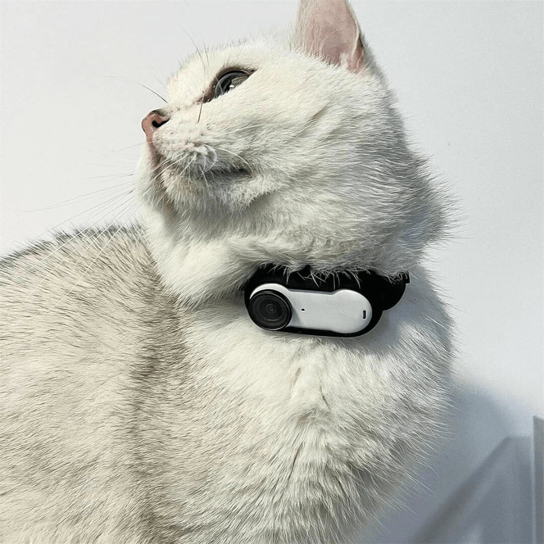 Pet Hediyelik™ Kedi Köpek Tasma Kamerası
