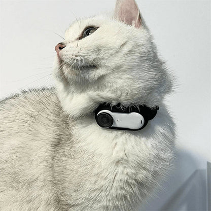Pet Hediyelik™ Kedi Köpek Tasma Kamerası